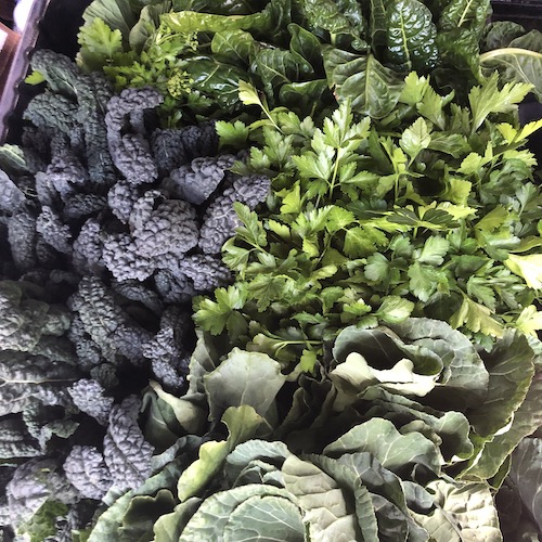 Farm to Family's abundant harvest of CCOF certified organic: dinosaur kale, green chard, Italian parsley, and collards